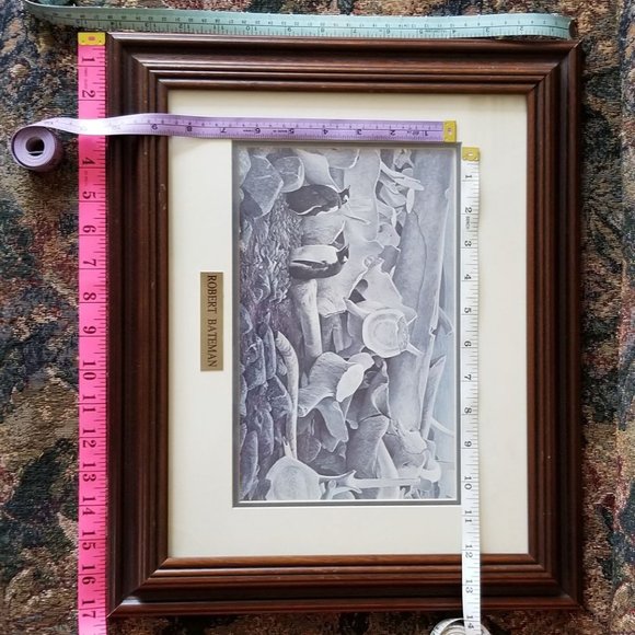 Vintage, Robert Bateman framed wildlife print, "Gentoo Penguins and Whale Bones" - Picture 5 of 5